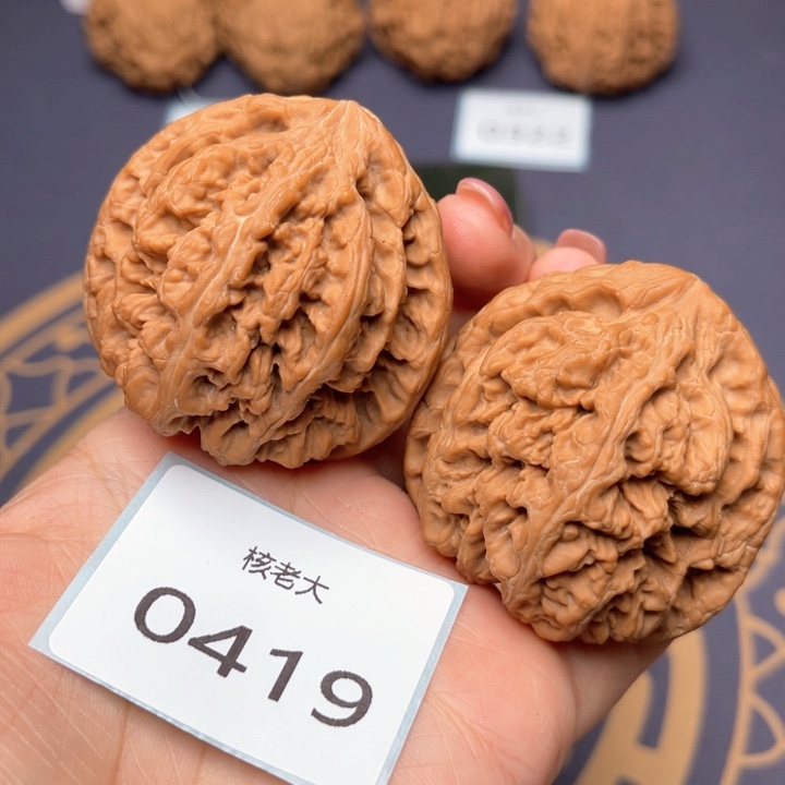 文玩核桃把件48大粗筋 0419