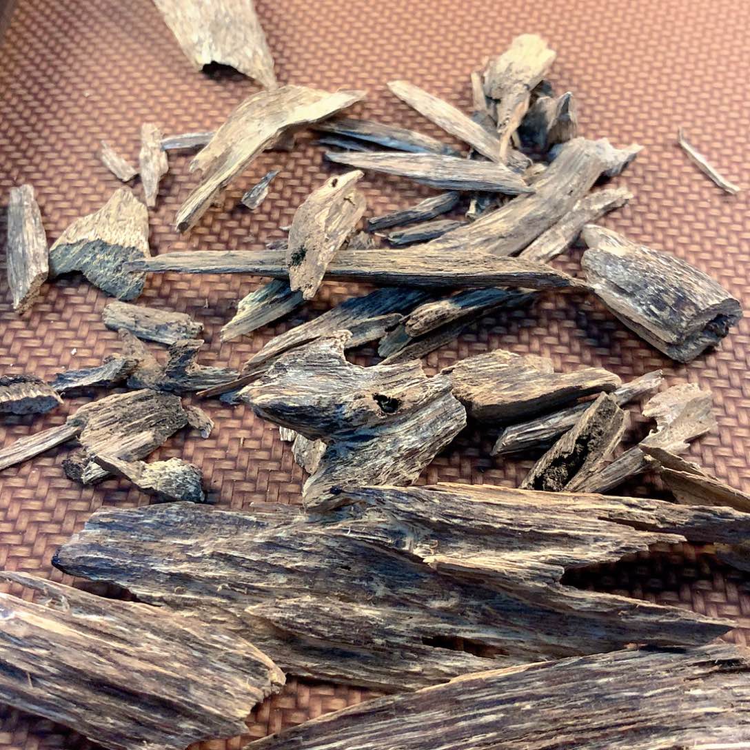 海南树心2克多样性发一