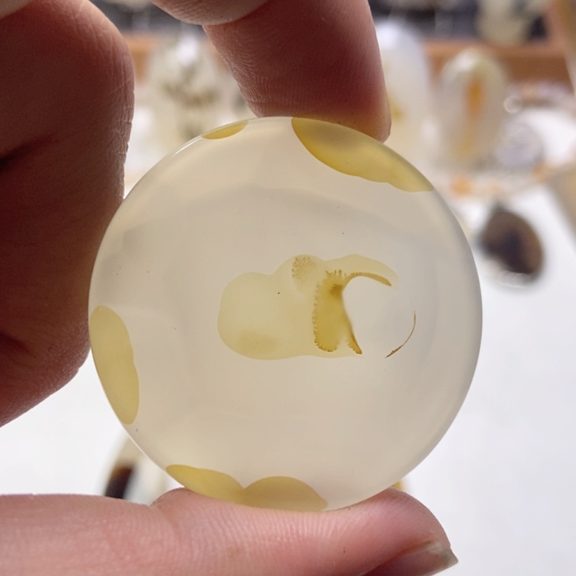 【闪购商品】玛瑙/玉髓颈饰未镶嵌