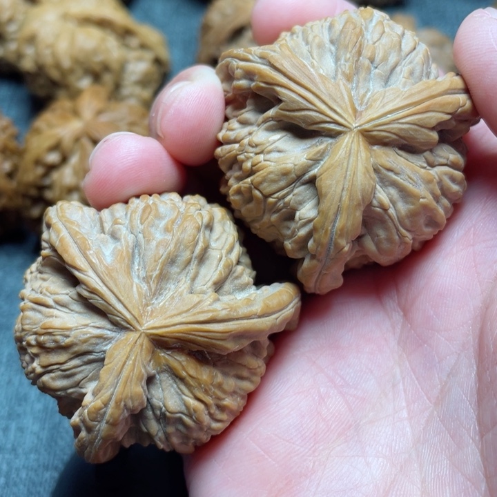 工艺三棱白狮子三棱