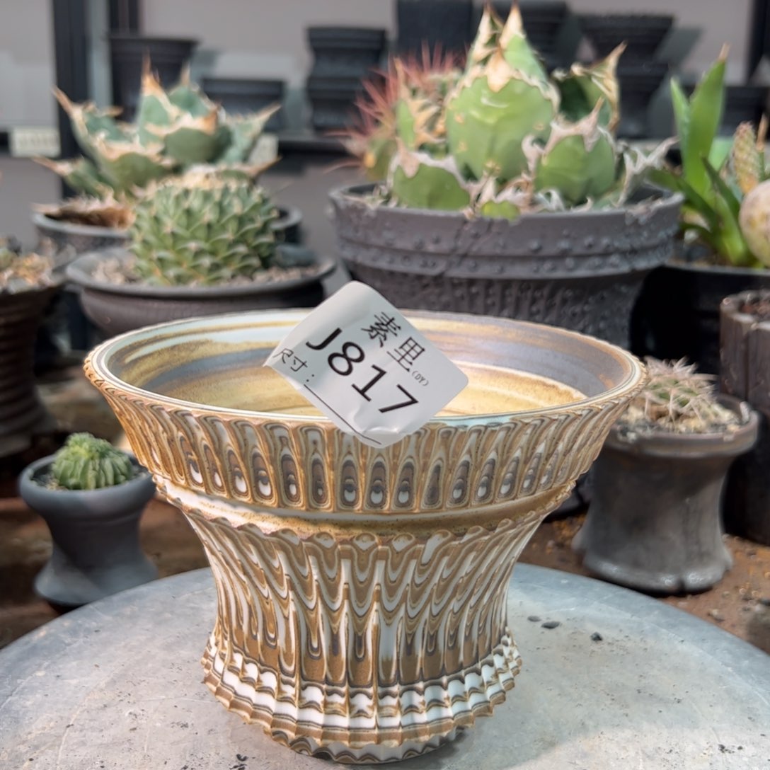 景德镇手工素里内口15.5高11.5瑕疵