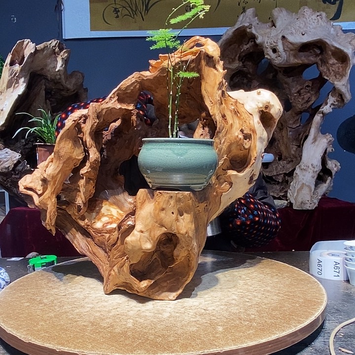 我****人670株木随行的小根艺