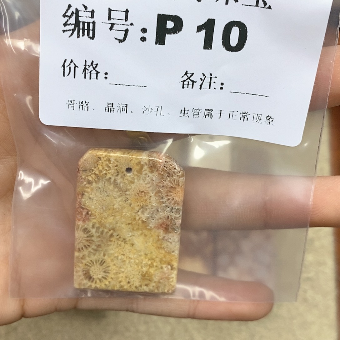 硅化珊瑚（珊瑚玉）L未镶嵌万*妍