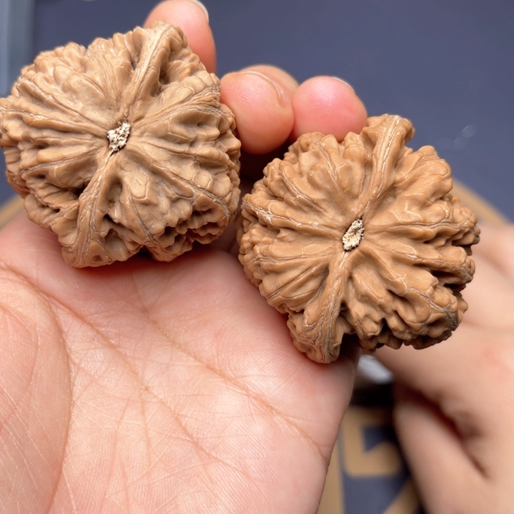 文玩核桃把件46尺大粗筋 0231