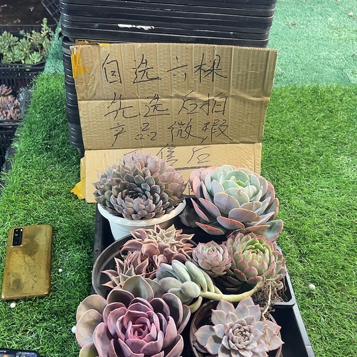 3832，微瑕，不售后，介意勿拍