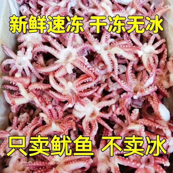 深海野生鱿鱼须 鱿鱼头  顺丰京东   包邮