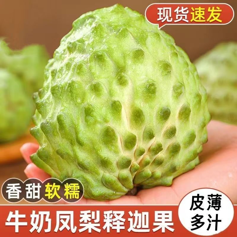 【京东包邮】现摘新鲜凤梨释迦果番荔枝纯甜无酸热带孕妈妈新鲜水果