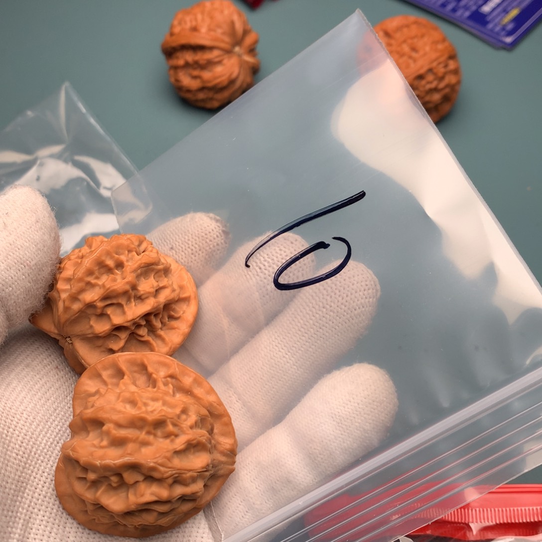 文玩核桃把件M****e秦公子10