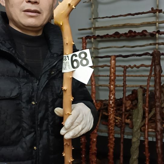 易***程香榧木高山 檬子木文玩料