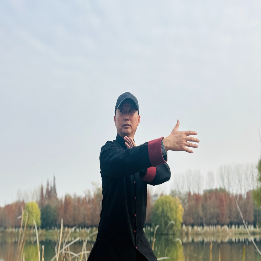 陈波老师新编太极（八法五步）精讲课程