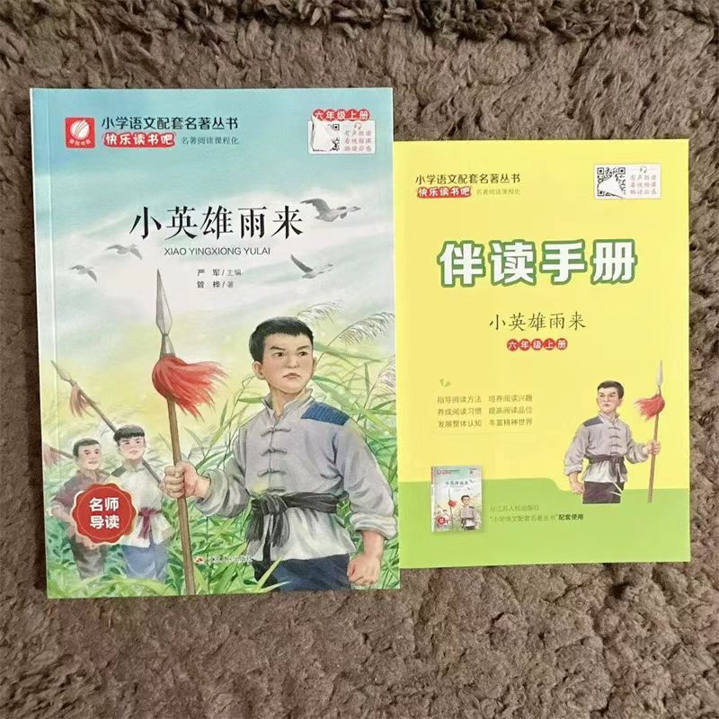 快乐读书吧小学六年级上册课外阅读名著小英雄雨来