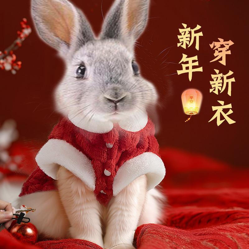 小兔子新年衣服红色喜庆保暖冬天给宠物兔兔春节过新年穿的棉衣服
