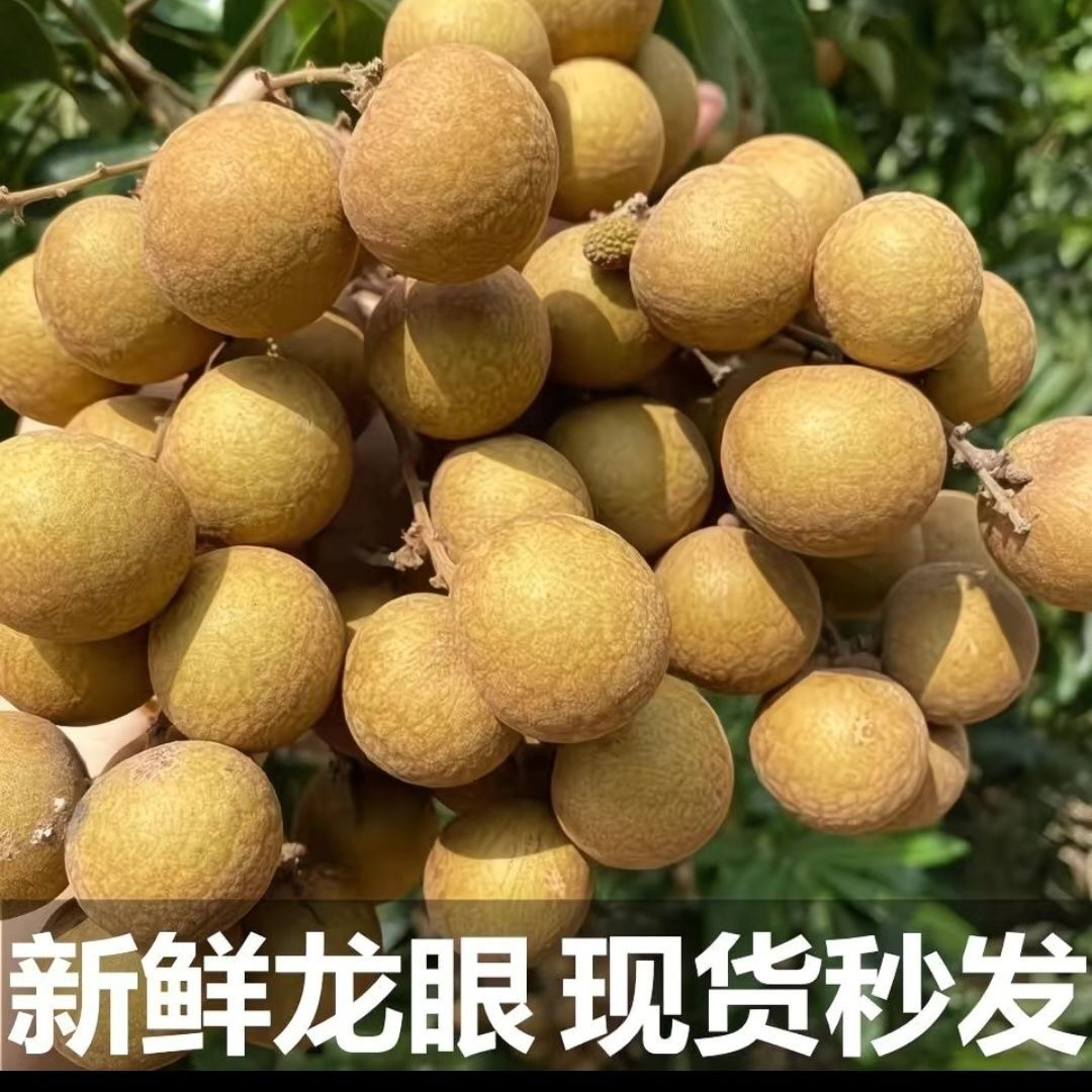 广西灵山龙眼新鲜现摘石硖储良鲜果当季爆甜桂圆一整箱批发