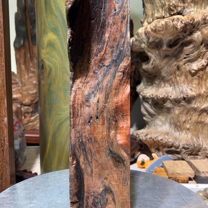 布***愚香榧木缅甸木木木木木木