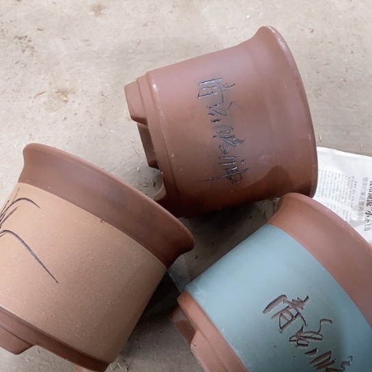 紫砂花盆60/3。19.5-16.5