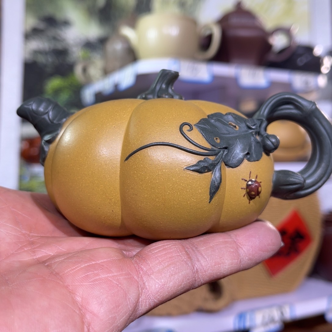 紫砂茶壶江**饰我们的一生也