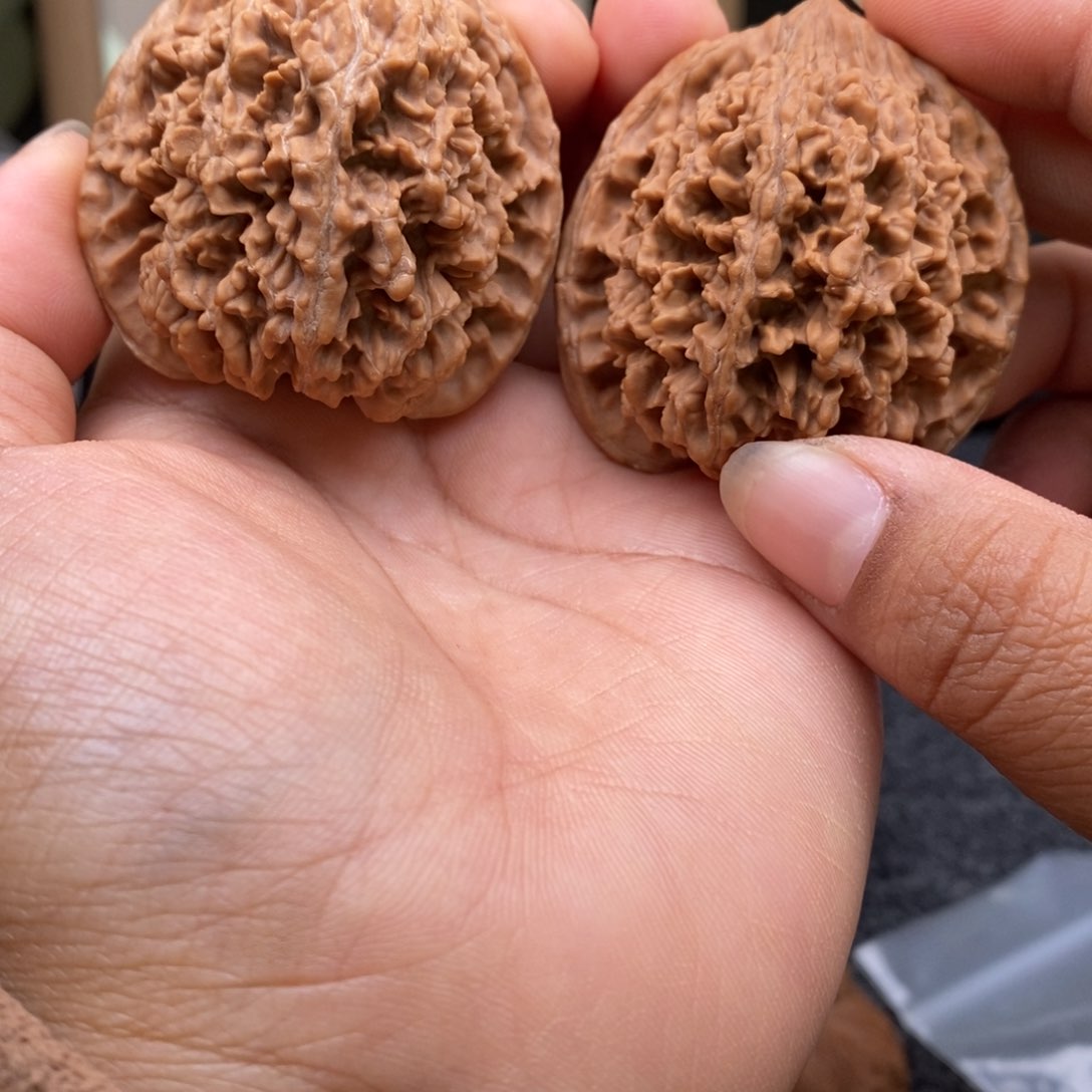 文玩核桃把件43满天星