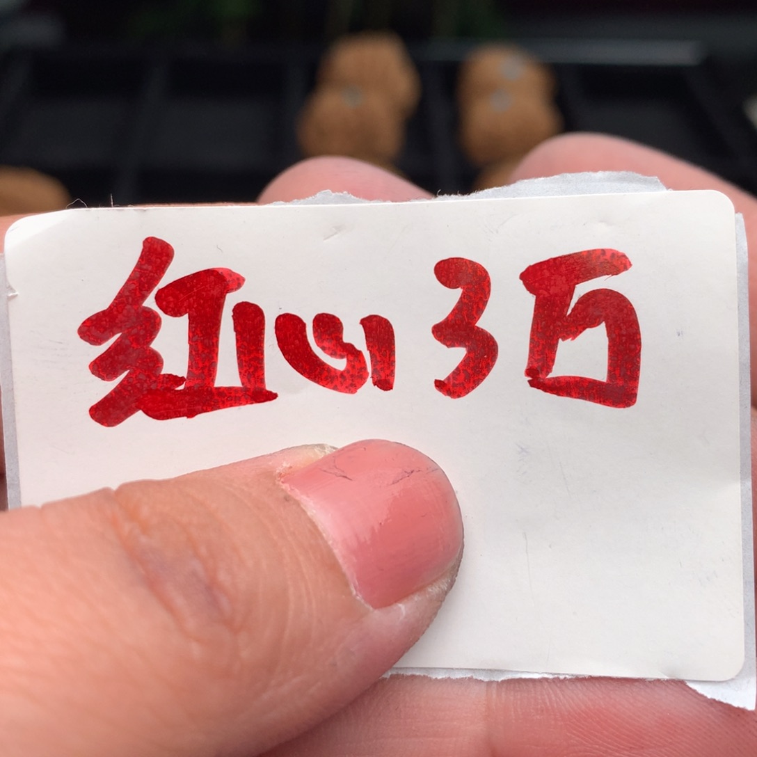 文玩核桃把件红心3w........