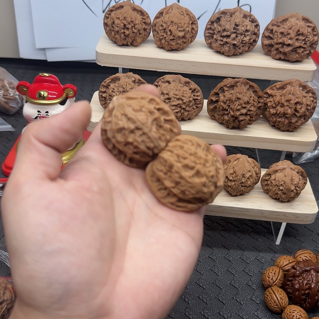 大叶紫檀（黑酸枝木类）