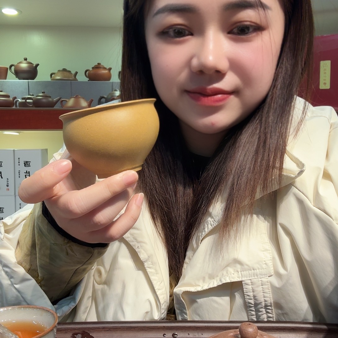 茶壶紫砂主人杯紫砂