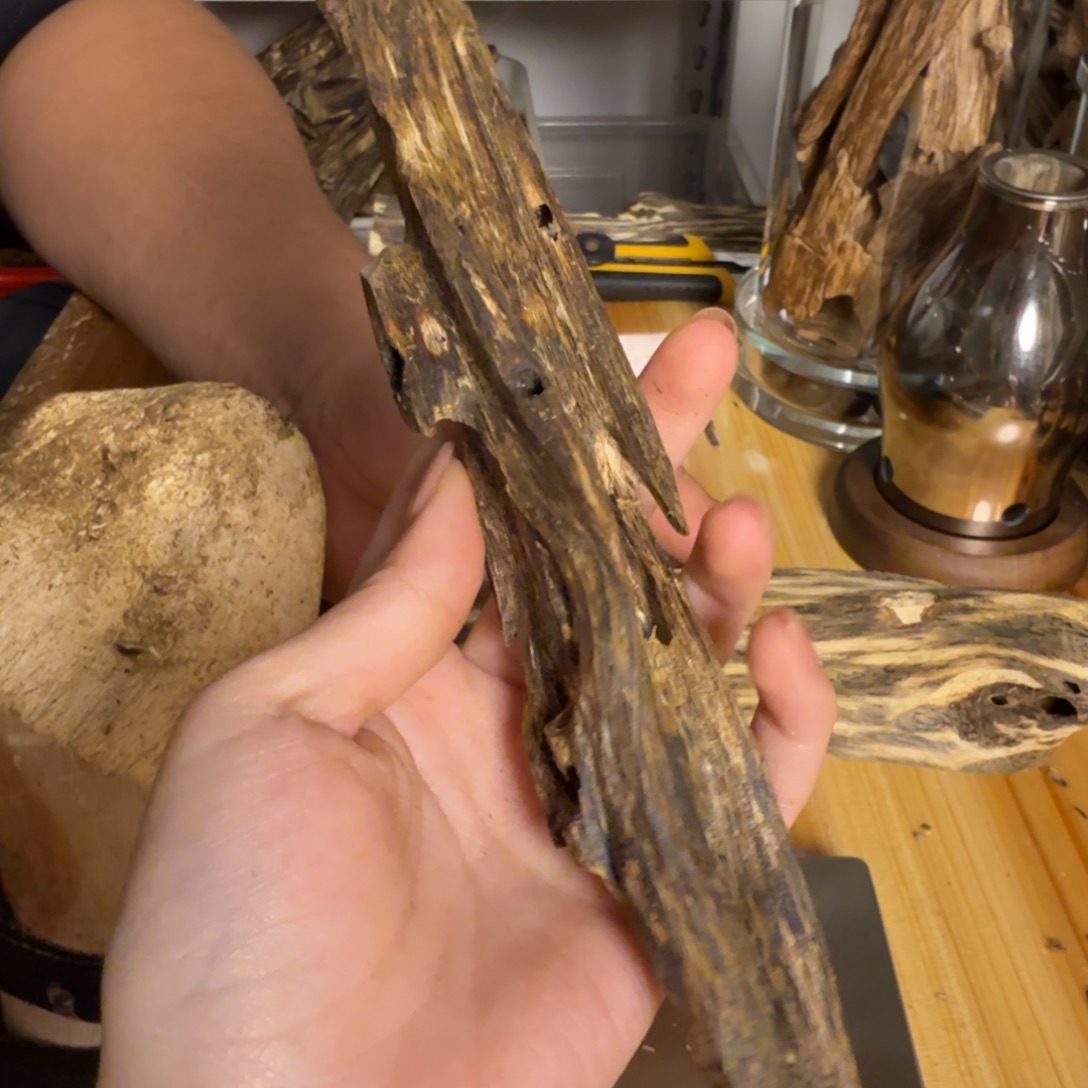 沉香绿奇淳化虫漏老料42克