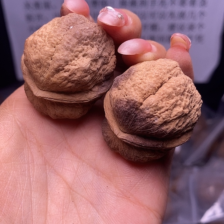 核桃云南野生铁核桃173号39mm