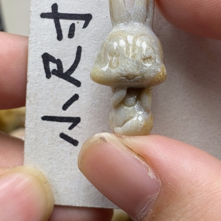 硅化珊瑚（珊瑚玉）未镶嵌颈饰