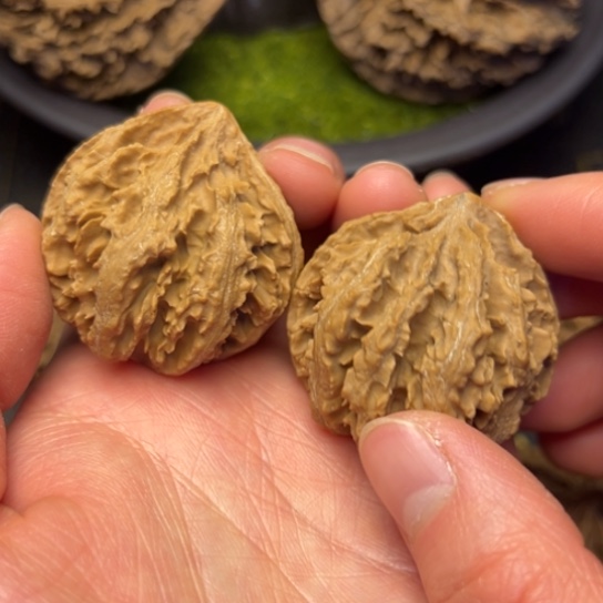 文玩核桃把件秦岭核桃12