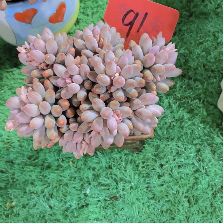 在家里面我一晚上