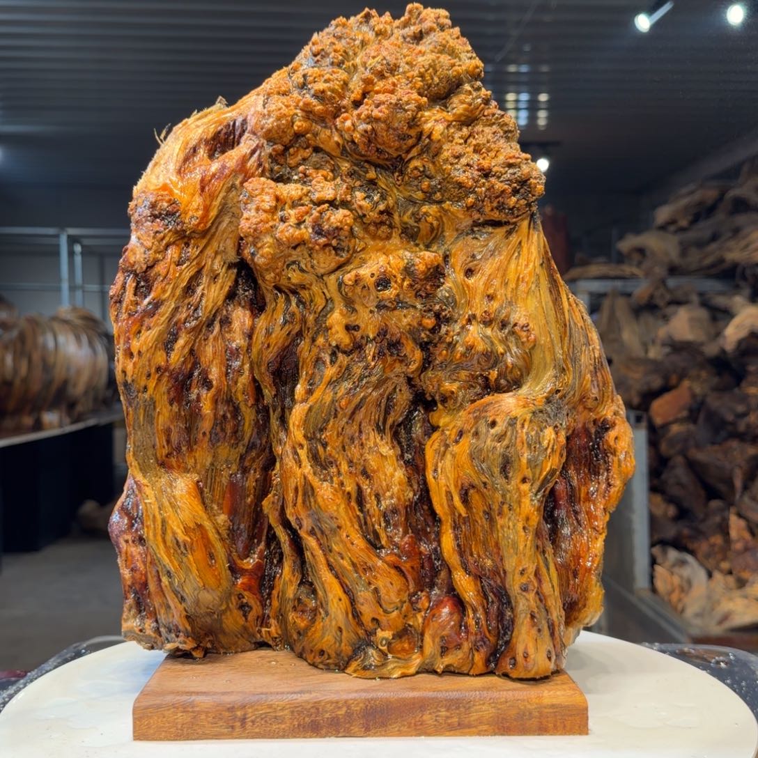 西***雪木王一刀琥珀木摆件63