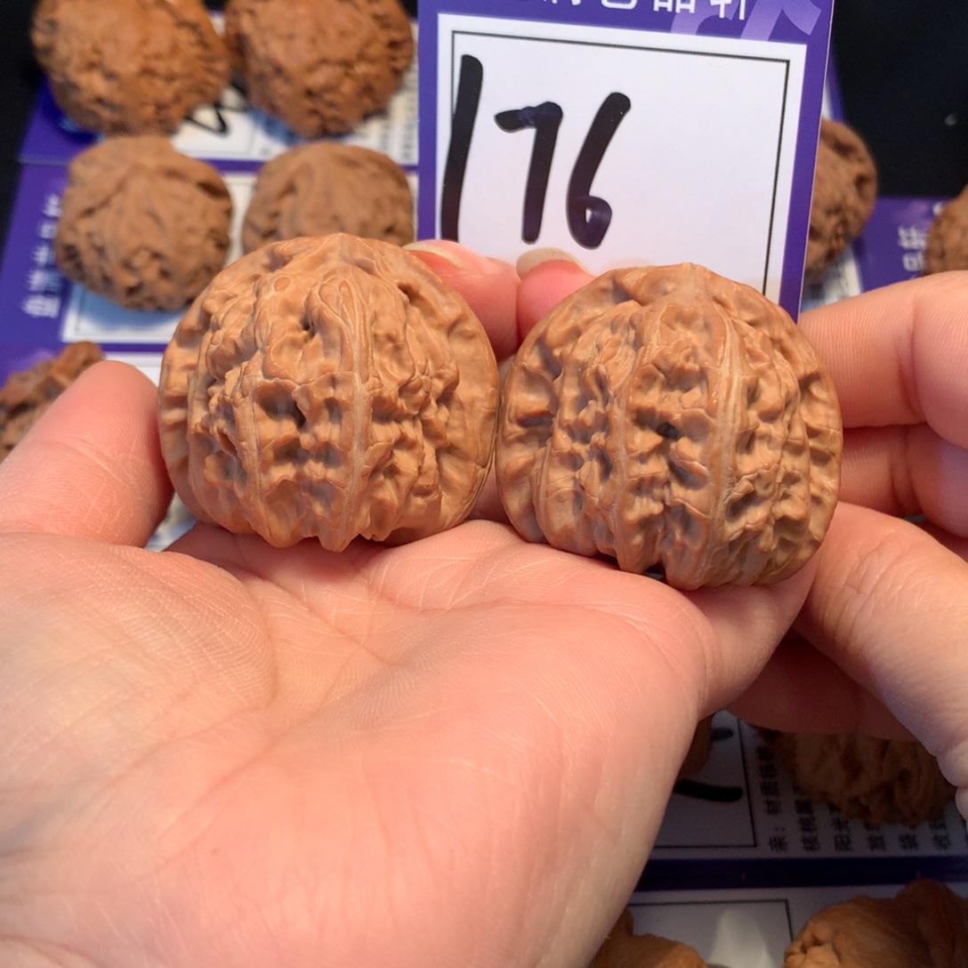 把件文玩核桃176白狮子4.1