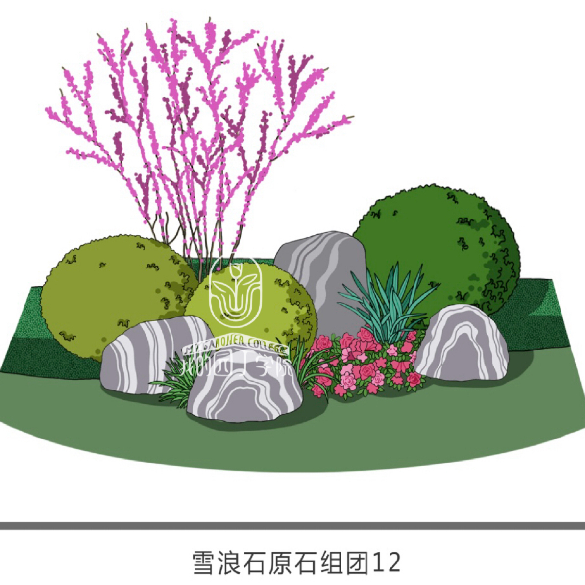 改价链接植物组合