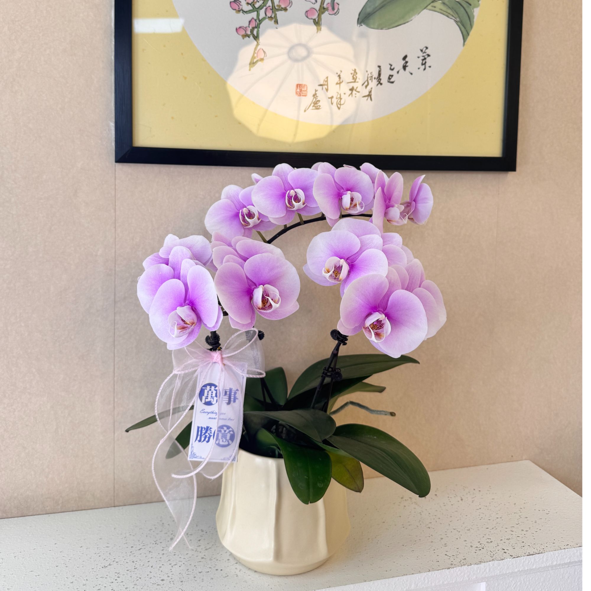 《梦幻情人》粉色少女款梦幻之花室内花盆新家送礼乔迁