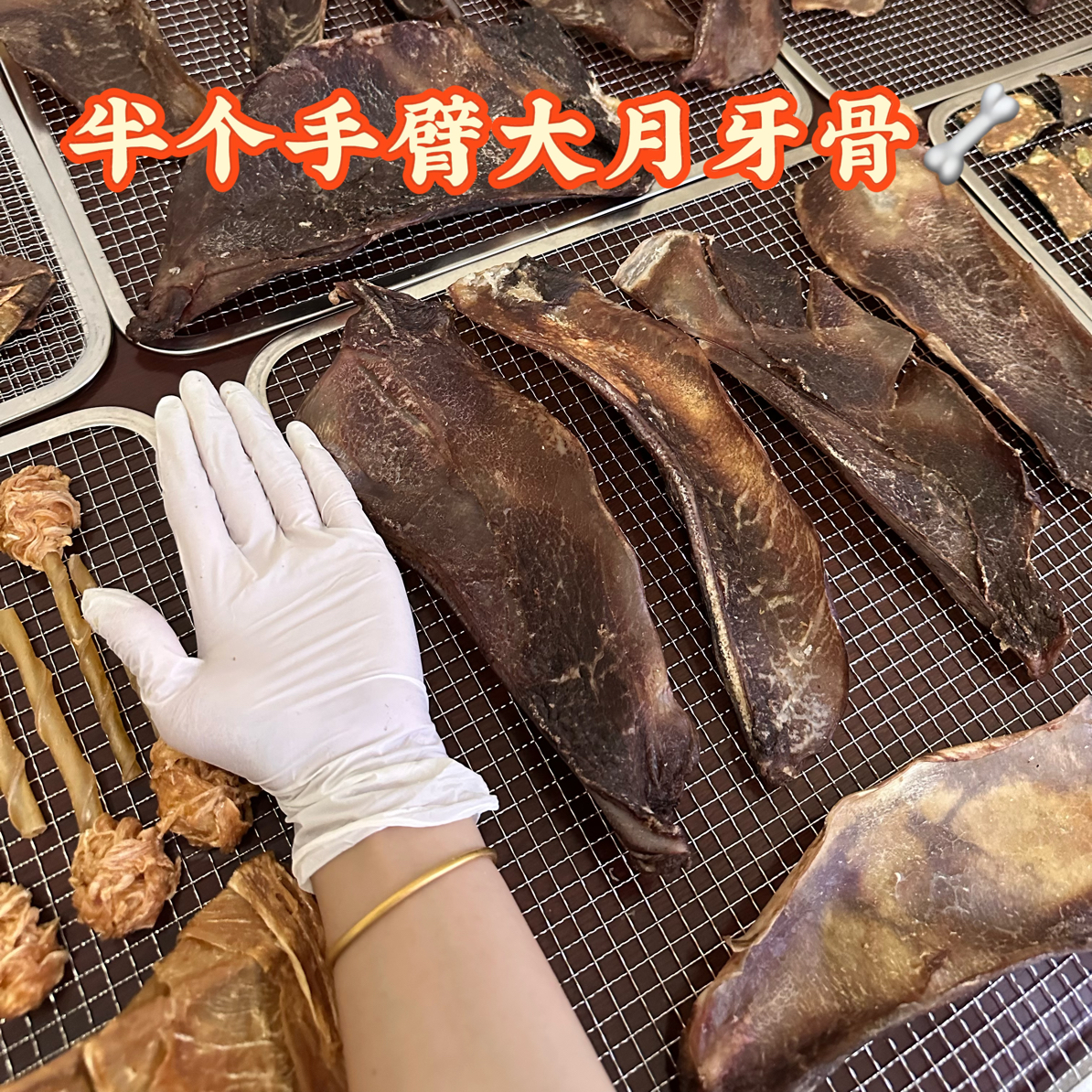 宠物狗狗磨牙清洁口腔耐磨耐咬牛肉软骨健康磨牙骨头