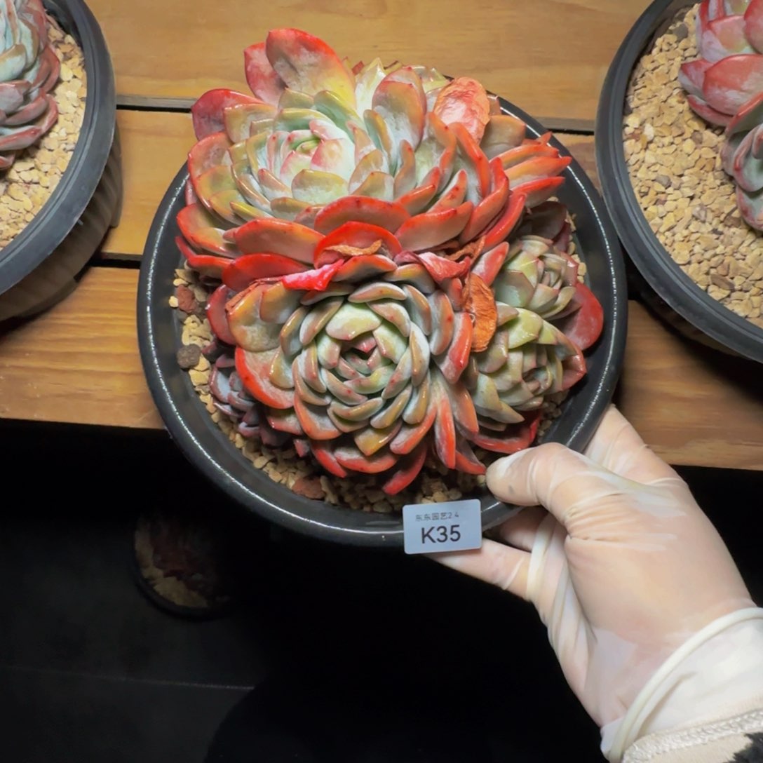 k k k k k k k k 35