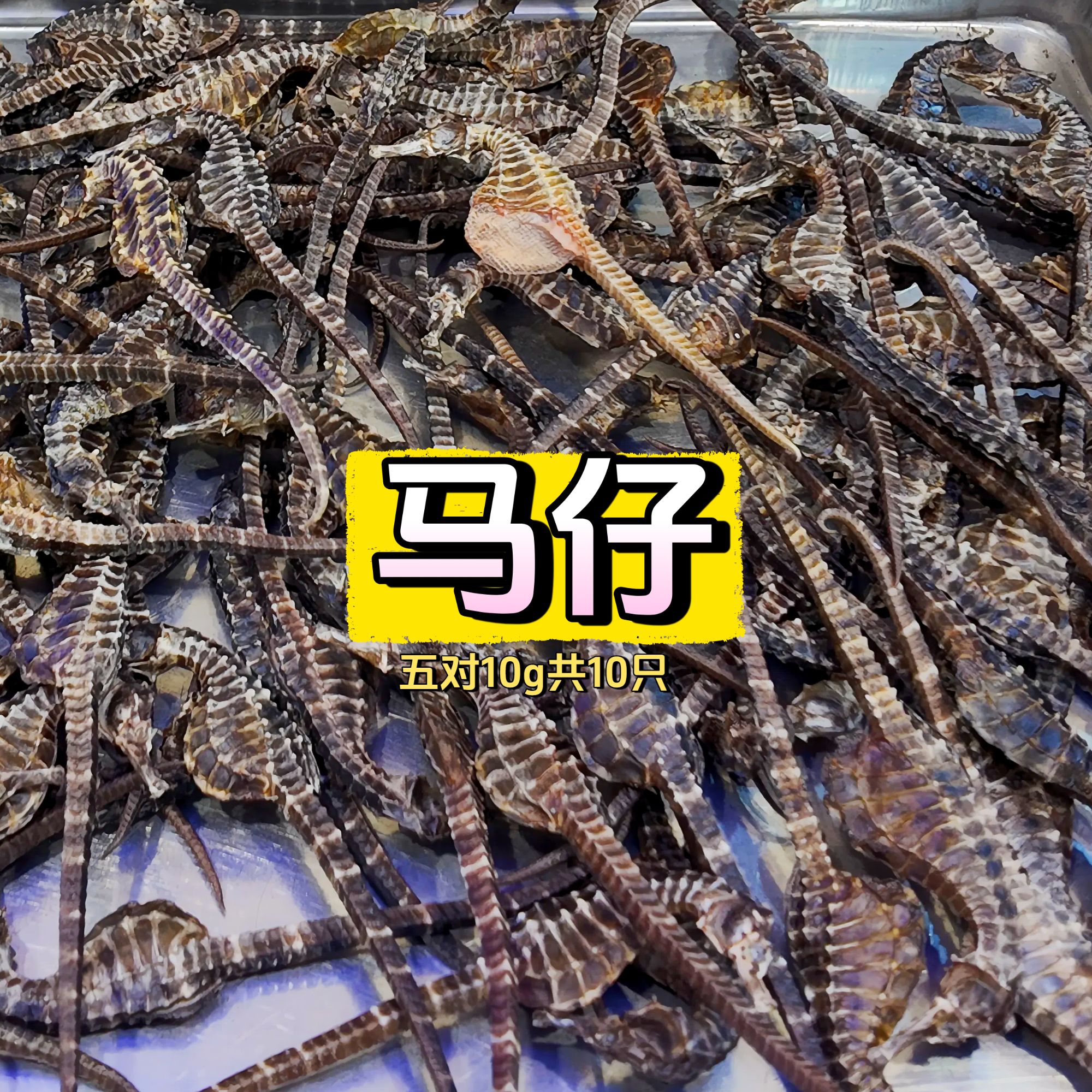 【源头直发】碧水绅蓝 海干货馬马仔 适合煲汤泡酒做汤料/2g*5份