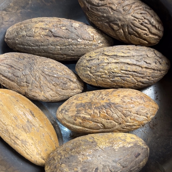 千眼菩提吊坠千眼菩提 61 号。