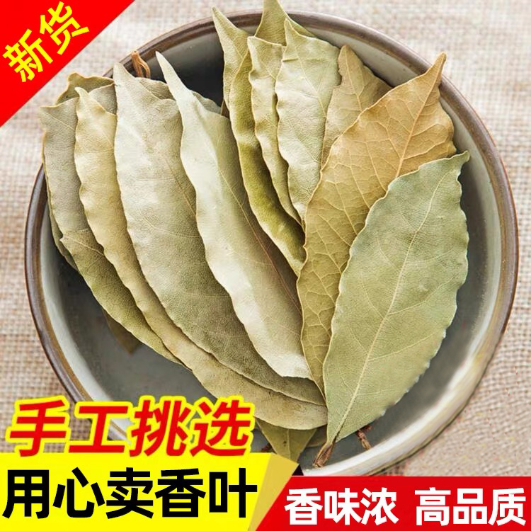 广西香叶新货头茬月桂叶正宗大料调味料香料卤料干货净重