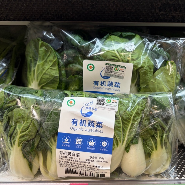 有机奶白菜一份半斤奶白菜
