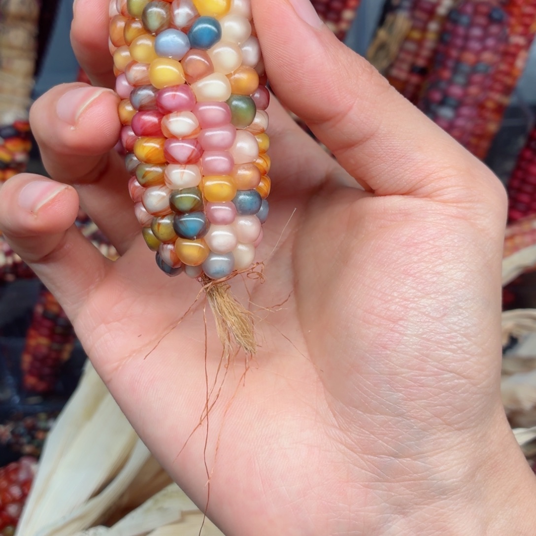 长***星白玉菩提吊坠文玩精品文玩精品