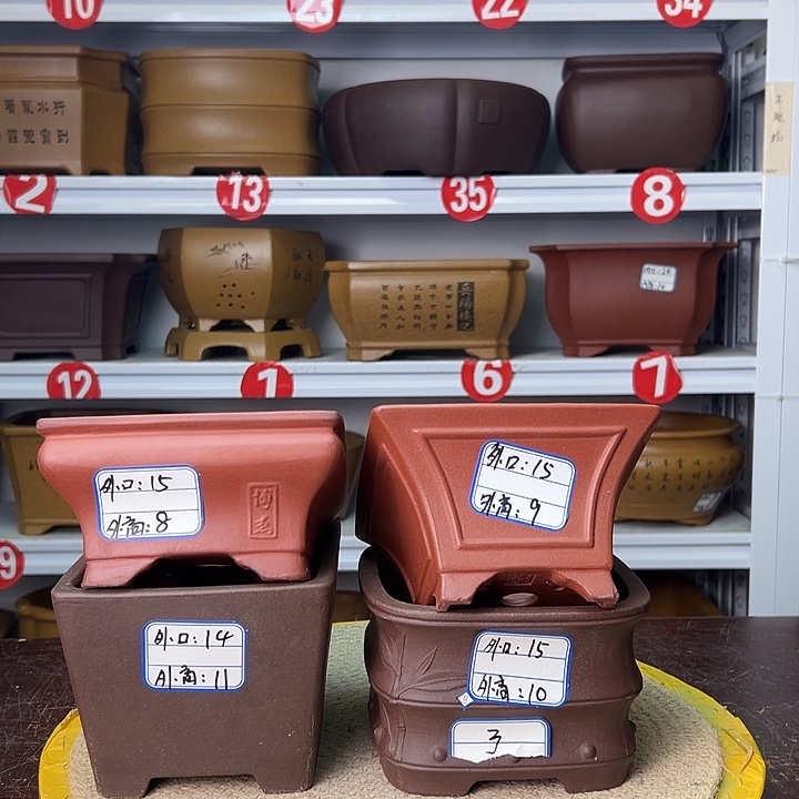 紫砂花盆蛇年大吉