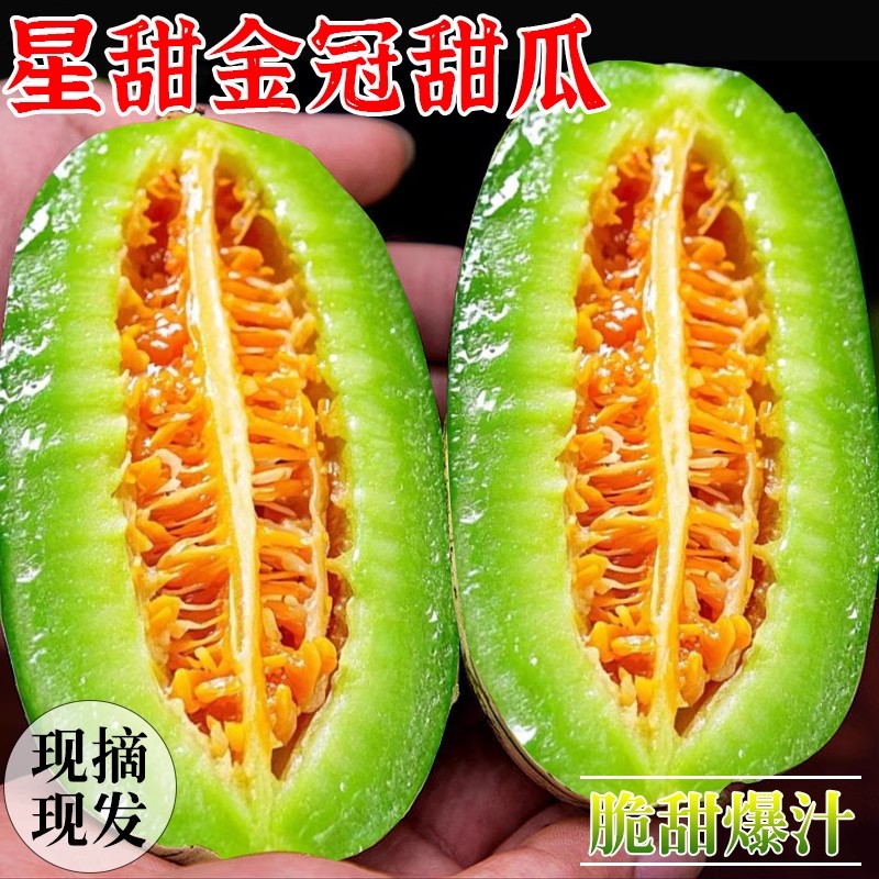净重4.5斤头茬星甜冰糖金冠蜜瓜产地发货脆甜爆汁羊角蜜水果甜瓜 图片 1