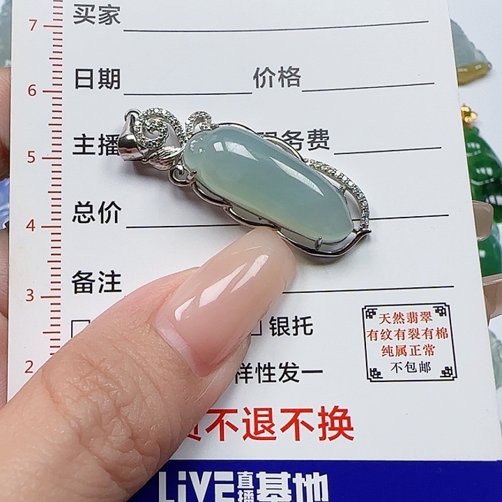翡翠颈饰银S925镶嵌天然