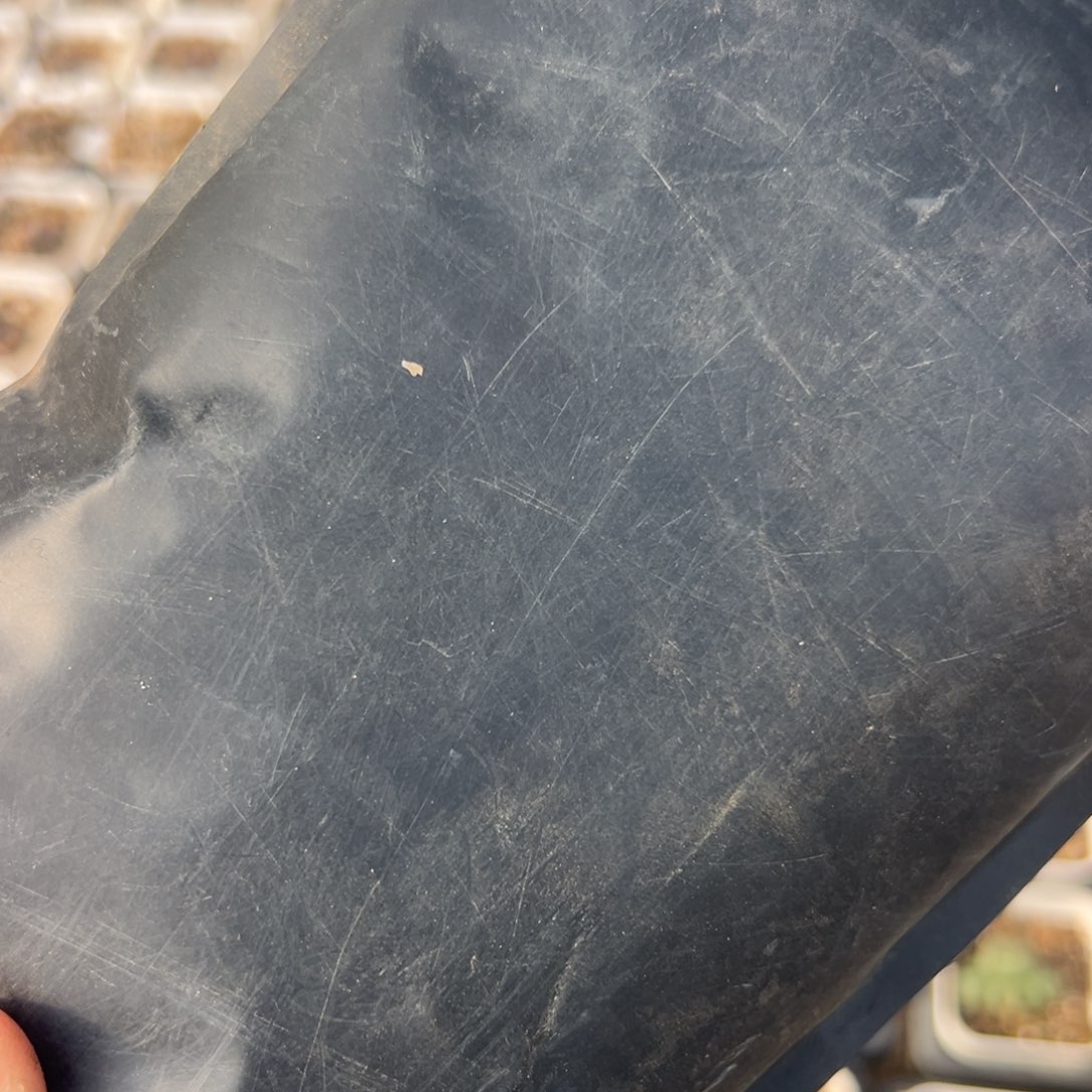 用***738多肉植物百科植物