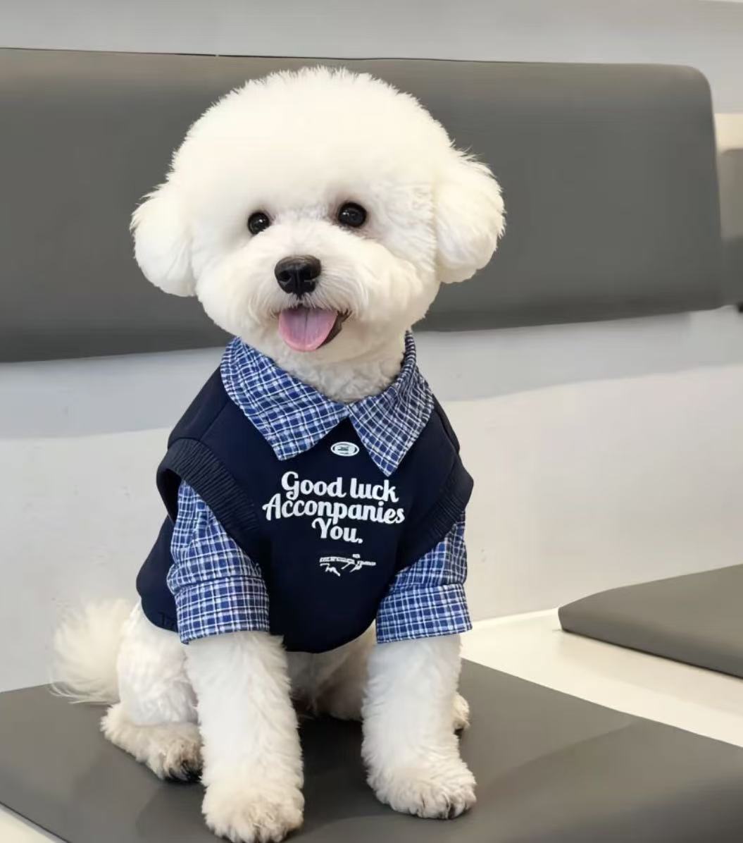 宠物薄款打底【no退no换】介意勿拍 （两件找客服退邮费）