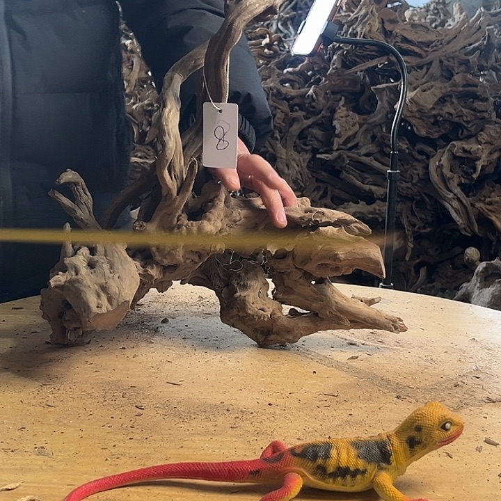 木382040 鱼缸造景根雕摆件8