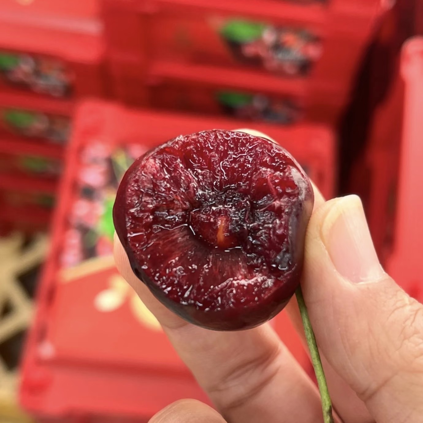 大G吉制智利进口车厘子3JD 加大加黑 嘎嘣脆桑提娜樱桃智利共和国