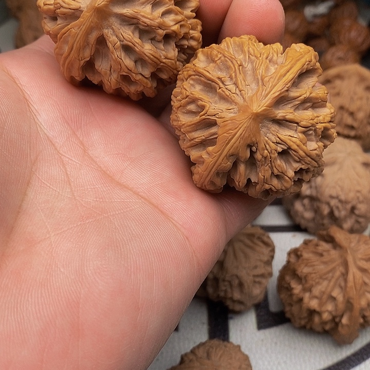 桃核把件一****。剑齿虎狮子头