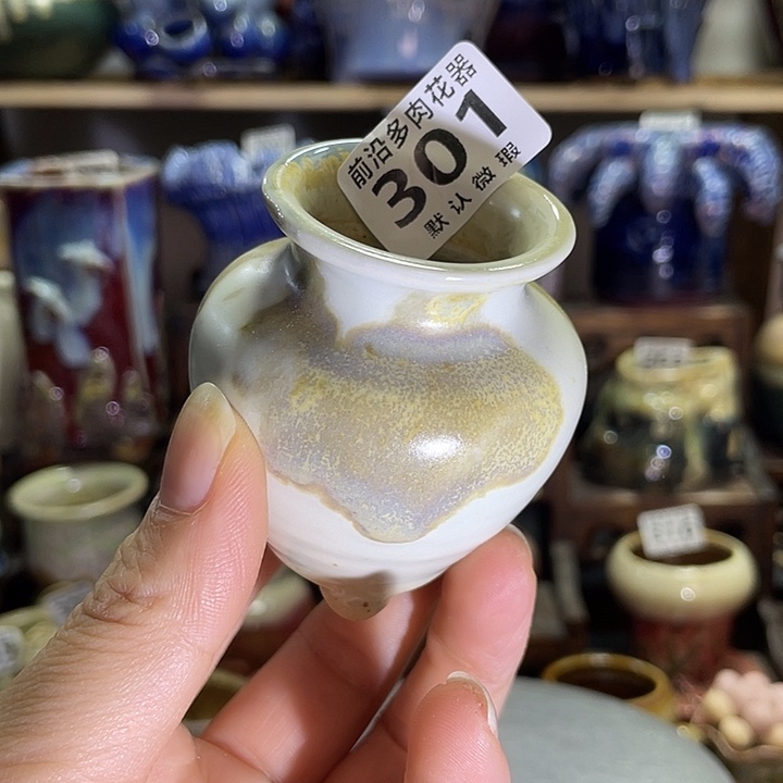 狼盆内口径3高度5