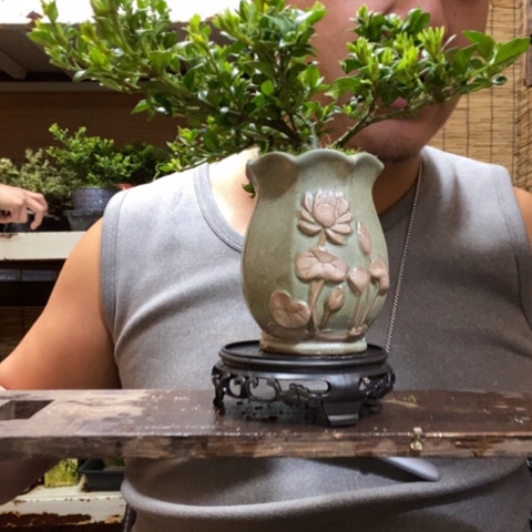 红陶一物一拍所见即所得257